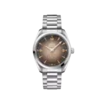 Seamaster Railmaster 38 mm, steel on steel Ref. 235.10.38.20.13.001