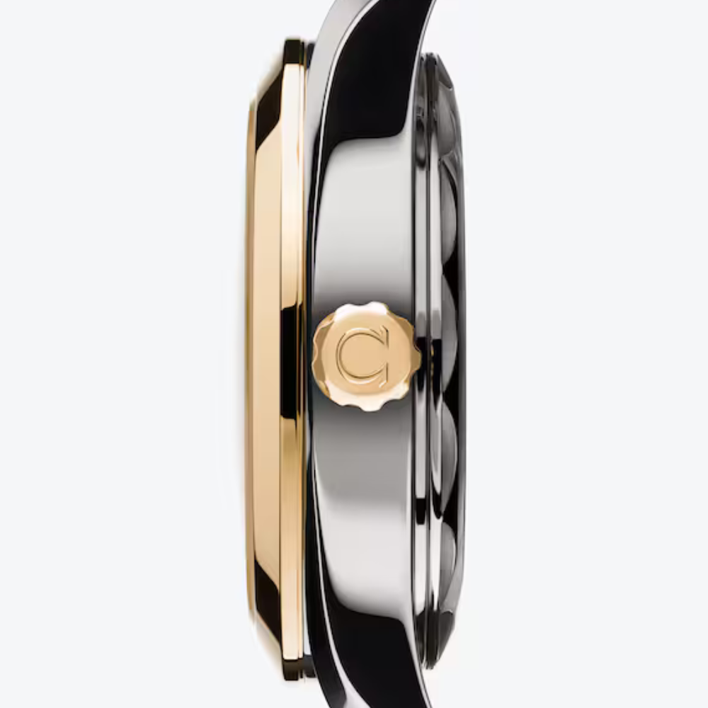 Seamaster Aqua Terra 150M 30 mm, steel ? Moonshine gold on steel ? Moonshine gold Ref. 220.20.30.20.02.001 - Image 4