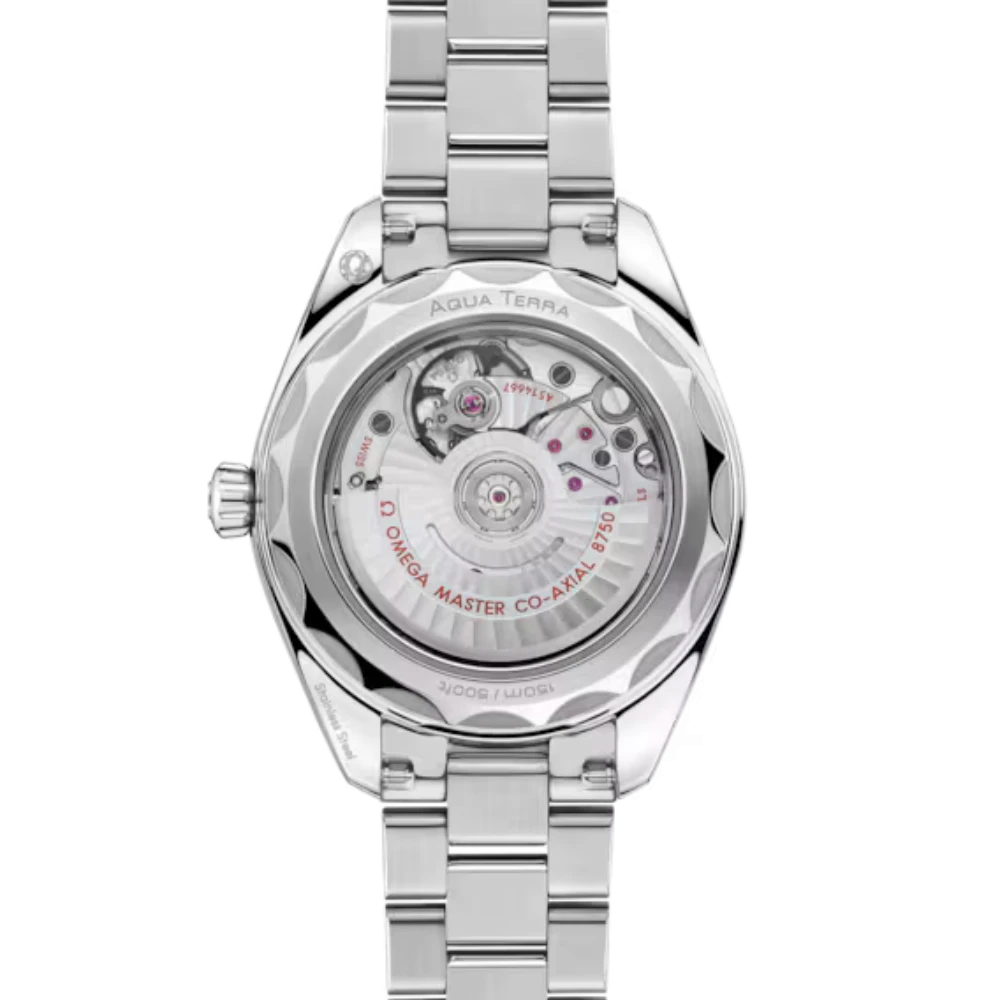 Seamaster Aqua Terra 150M 30 mm, steel on steel Ref. 220.10.30.20.01.001 - Image 5