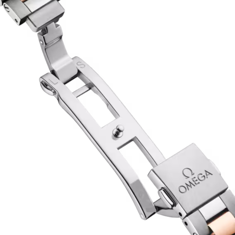 Seamaster Aqua Terra 150M 30 mm, steel ? Sedna gold on steel ? Sedna gold Ref. 220.20.30.20.63.001 - Image 3