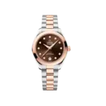 Seamaster Aqua Terra 150M 30 mm, steel ? Sedna gold on steel ? Sedna gold Ref. 220.20.30.20.63.001