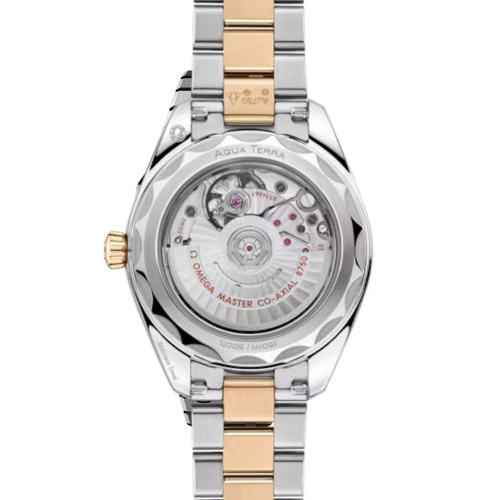 Seamaster Aqua Terra 150M 30 mm, steel ? Moonshine gold on steel ? Moonshine gold Ref. 220.25.30.20.55.001 - Image 4