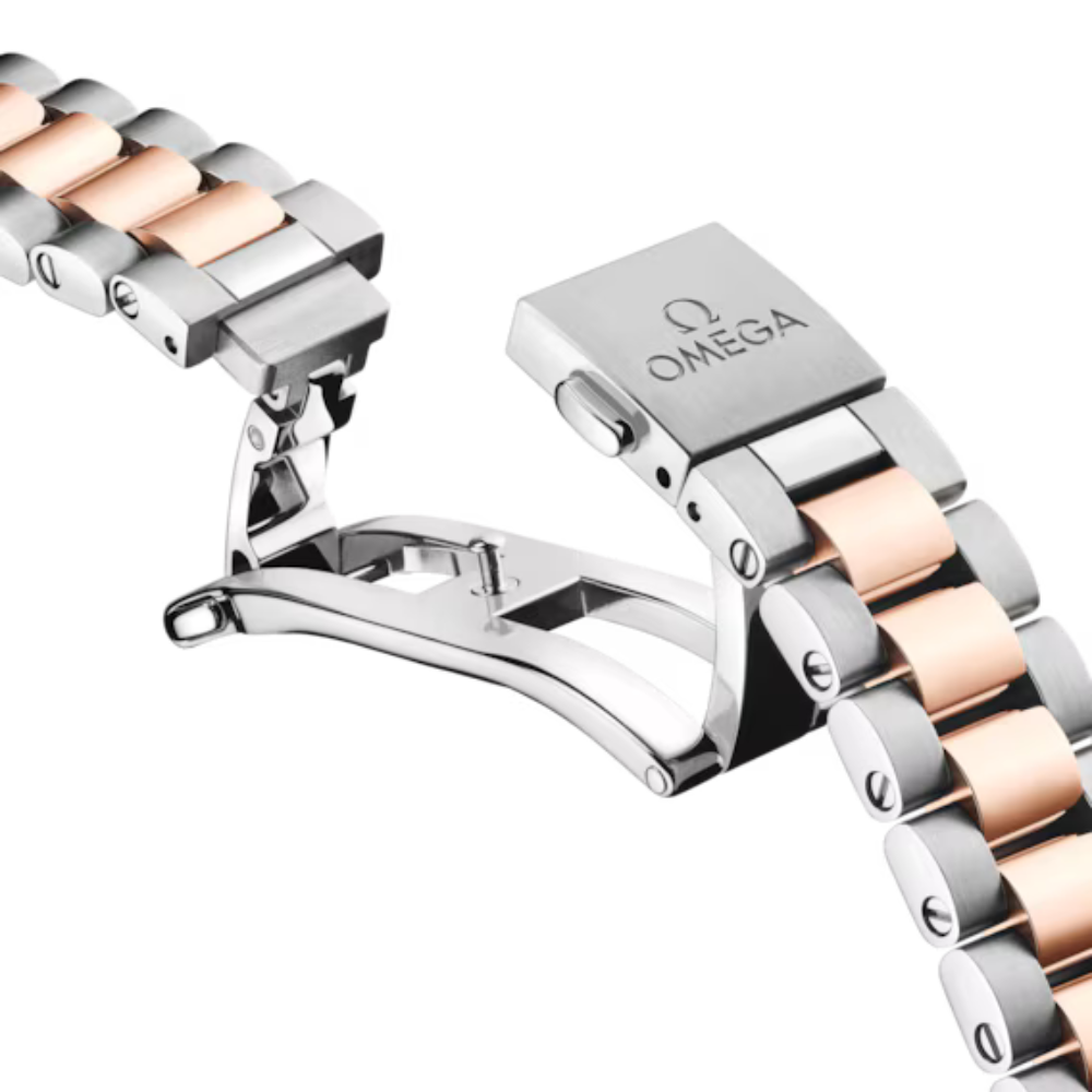 Seamaster Aqua Terra 150M 30 mm, steel ? Sedna gold on steel ? Sedna gold Ref. 220.20.30.20.63.001 - Image 2